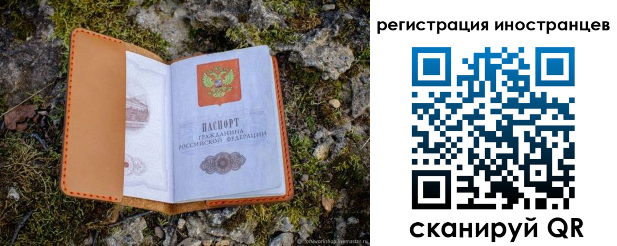 прописка паспорт в Лесосибирске